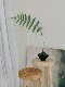 Loushujia Artificial Plant Golden Monkey Head Fern Zen-Style Desktop Decoration Indoor Home Living Room Artificial Bonsai