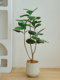 Loushujia Artificial Green Plant, Ficus Lyrata, Indoor Living Room Decoration, Fake Tree Bonsai, High-End Light Luxury Artificial Plant Ornament