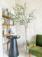 Loushujia Artificial Green Plant Japanese Bell Tree and Horse-Drunken Tree Floor-Standing Potted Plant High-End Light Luxury Fake Plant Decorative Ornament