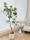Loushujia Artificial Green Plant Potted Money Tree High-End Bionic Indoor Desktop Decoration Ornament Artificial Fake Plant Tree