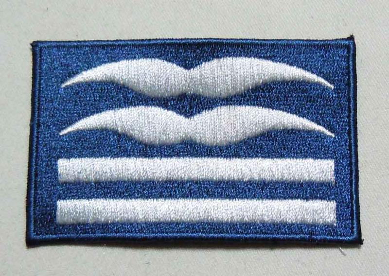 Deutsche Air Force Broken Camouflan Colonel Embroidered Arm Chapters Prussian Splinter Camouflan with Embroidered Lieutenant Colonel