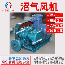 Shandong Yizhifeng biogas gas natural gas pressurized sealed three-leaf roots blower direct sales 380V industrial electricity