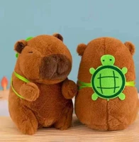 Кроличья черепаха дельфин