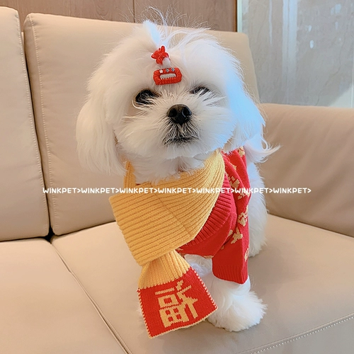 Собаки Новый год одежды домашние животные любят свитер, чем красавица Тедди Тедди маленький кот красный весенний фестиваль и зима