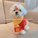 Собаки Новый год одежды домашние животные любят свитер, чем красавица Тедди Тедди маленький кот красный весенний фестиваль и зима