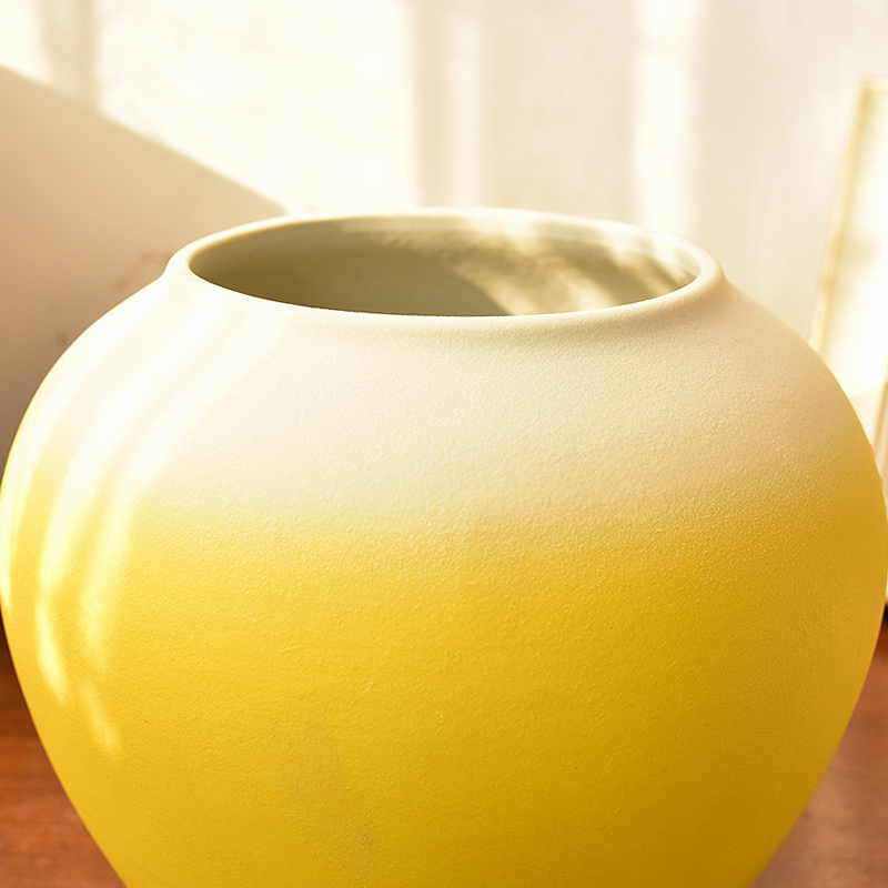The new Angle of what Chinese style is I furnishing articles of jingdezhen ceramic vase in The sitting room porch TV ark, decoration home decoration