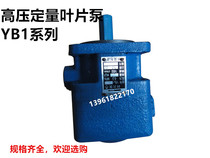 High pressure quantitative vane pump YB1-6 YB1-10 vane pump yb1 series YB1-25 YB1 32 YB1-63