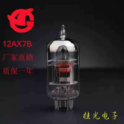 Brand new export type Dawning electron tube 12AX7B straight generation ECC83 factory direct sales warranty for one year