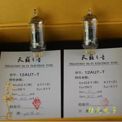 Brand new dawn electronic tube sounds of nature 12AU7-T generation 12AU7 ECC82 factory direct sales warranty for one year