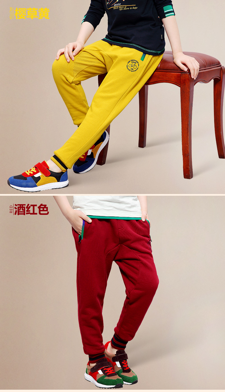Pantalon garcon EBCASTLE 116WK05 - Ref 2055481 Image 13