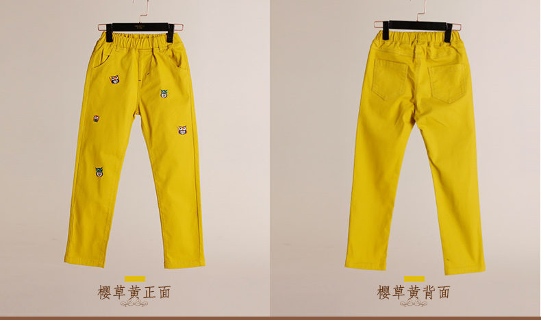 Pantalon garcon EBCASTLE 116WK18 - Ref 2055533 Image 26