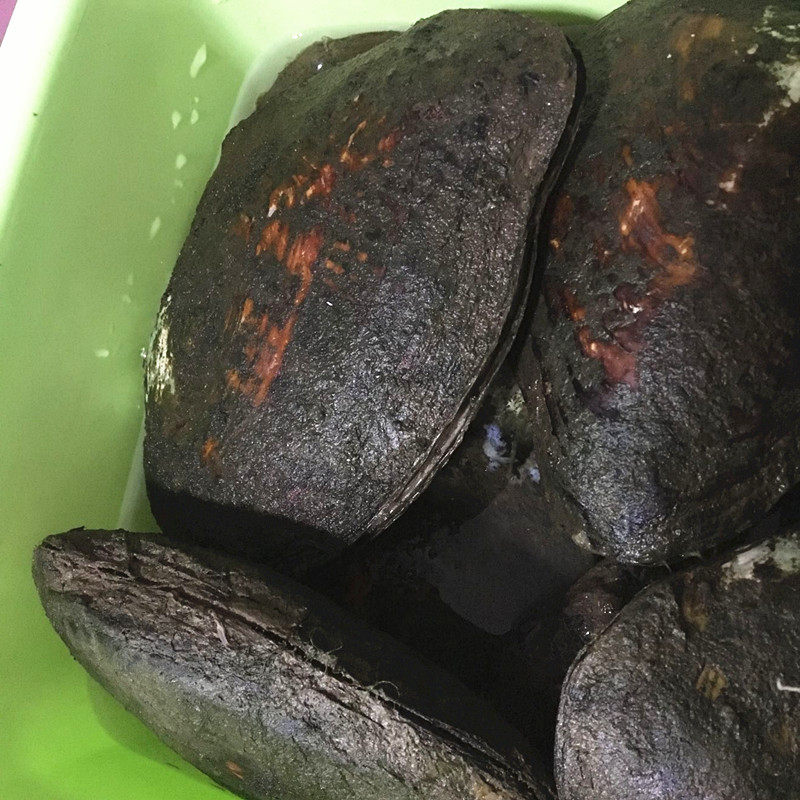 (Rain Foam Pearl) mussel crusts of natural freshwater pearls see clearly just that the mussel shell does not contain pearls