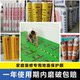Home Decoration Floor Tiles Floor Protection Film Tile Floor Pvc Plus Pearl Cotton Disposable Anti-Slip and Moisture-Proof Floor Mat