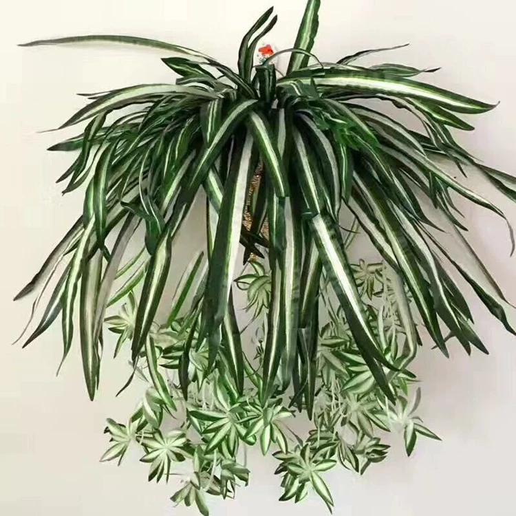 Hoa giả nụ hoa mô phỏng cây trồng cây xanh tường cây treo tường trang trí hoa nho cây nho tường hoa - Hoa nhân tạo / Cây / Trái cây tuong cay gia
