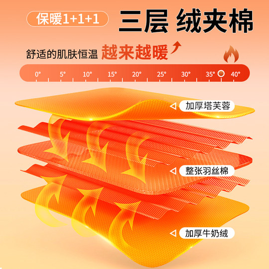 Taffeta Milk Velvet Blanket Thickened Coral Velvet Leg Blanket Office Nap Blanket Winter 2025 New Blanket