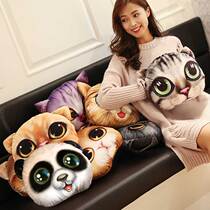 Cartoon 3D Cat Hot Water Bag National Tender Warm Hand Bao Plush Explosion Protection Warm Palace Warm Baby Recharge Electric Warm Bao Meng Cute