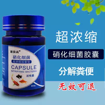 Nitrifying Bacterial Capsules for Digestion of Bacterial Fish Tank with Nitrifying Bacteria Aqua Living Nitrifying Bacteria Tank Purifying Agent Purifying Water