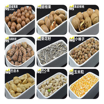  Squirrel luxury food package Pine nuts Melon seeds Hazelnuts Golden flower devil snow yellow mountain squirrel food snacks