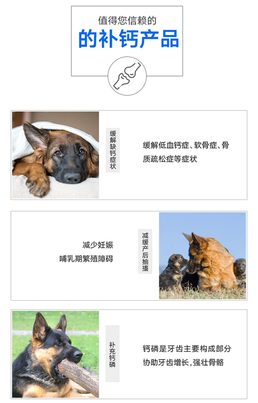 Singen Youda Phát triển Bao Dog Canxi dạ dày 450g Chó và mèo Sức khỏe tổng quát Xương Canxi Dinh dưỡng Sức khỏe
