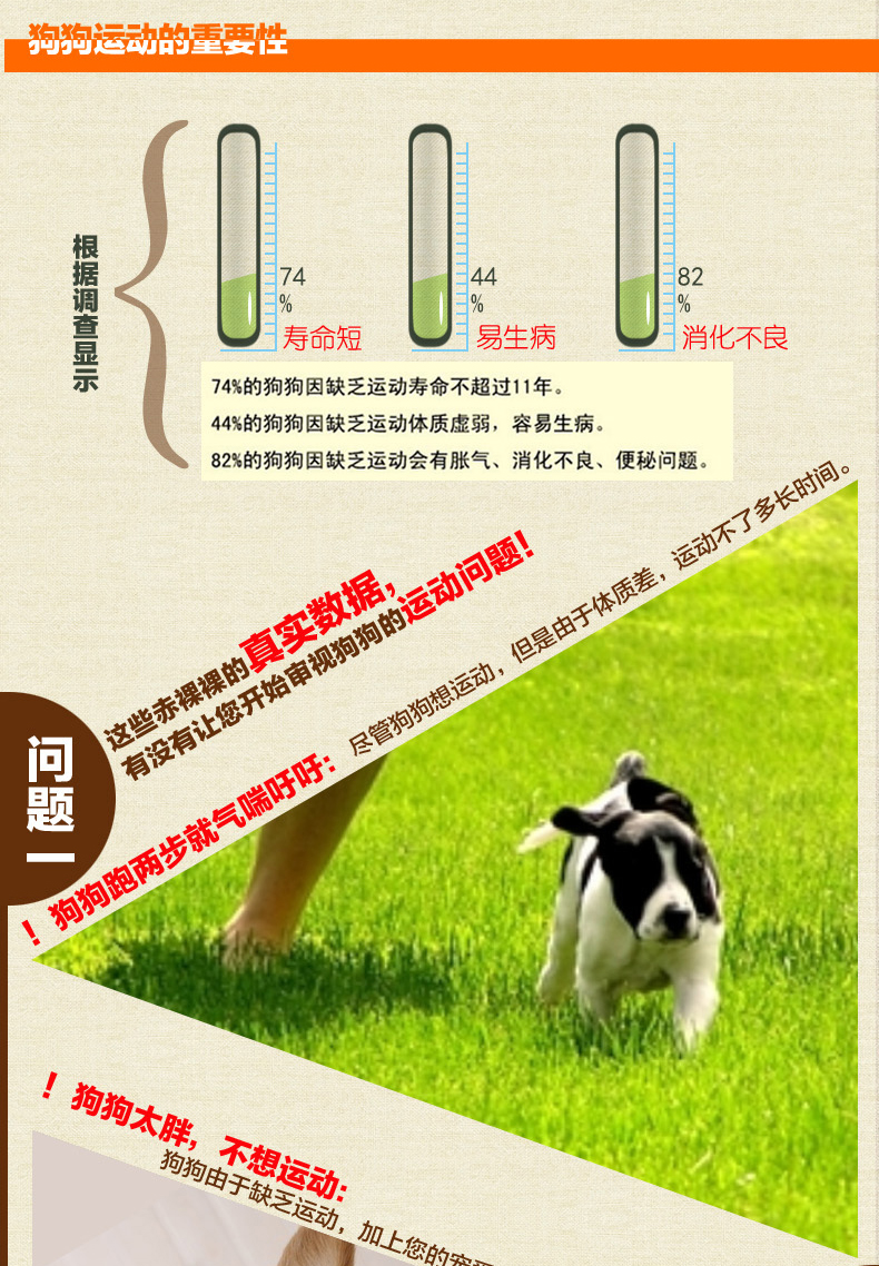 Mai Fudi Thịt chó ăn vặt Thịt bò Teddy Golden Retriever Pet Dog Snacks Dog mài que 170g hạt ganador