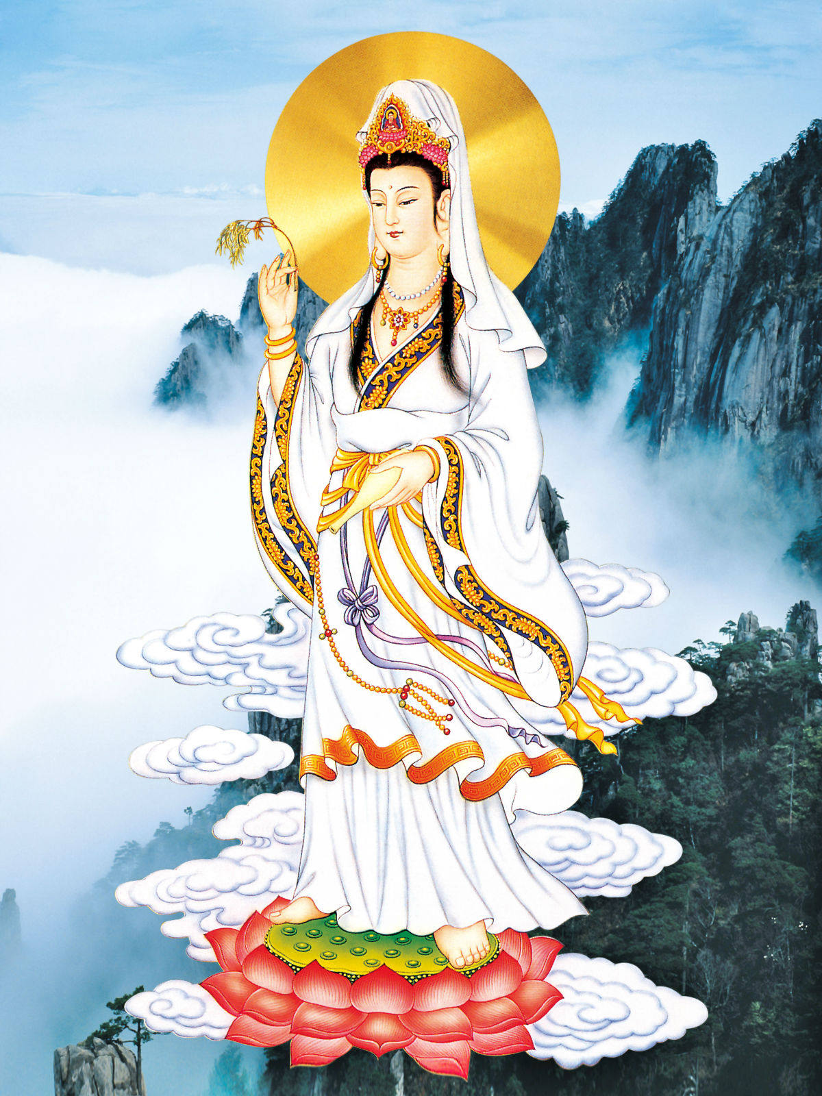 O1CN01I1YTSb1ava5dbbmqo_!!