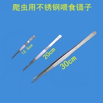 Reptile stainless steel feeding forceps round-headed spider lizard scorpion shougong centipede turtle horn frog live feeding clips