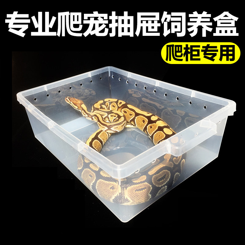4 Pet Raising Box PVC Climbing Cabinet Pocket Famous Spider A4 Box BAO WEN Gecko Drawer Toy Snake Pull Box