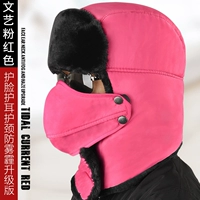 Литературный розовый