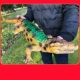 Очень большой крокодил мягкий клей