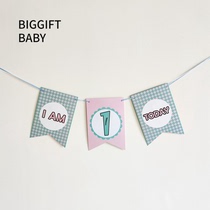 BIGGIFT BABY ~ Baby one year old birthday with a flag wall Decorative Dining Chair Skirt