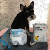 Физиологические штаны собаки Скюенари Шиба Ину Тедди Моча мочи без влажных брюк мочи Санитарные брюки для салфетки Менструальные штаны