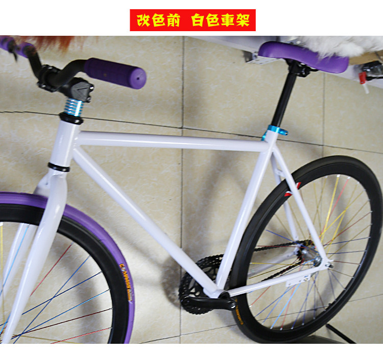 Autocollant pour vélo - Ref 2290214 Image 20