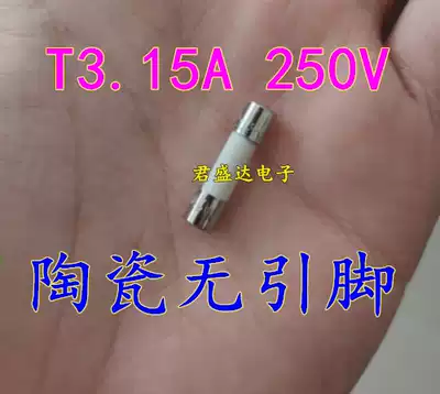 T3 15A250V T3 15AH250VP 5x20mm new ceramic fuse tube Power supply commonly used fuse tube