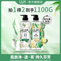 Xiao Canglan 550g+Fairy Palm 550g