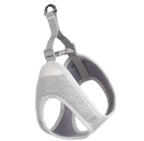 Direct mail HaBe] Cotton breathable machine washable chest back traction rope set Korea imported pet dog