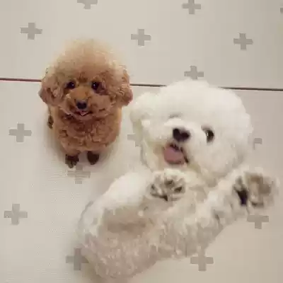 HaBe] Freight special shot ~ Korea direct mail