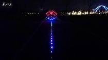 Beijing luminous kite light Qiu Yile 2019 original 4 square cobra (with tail)luminous kite