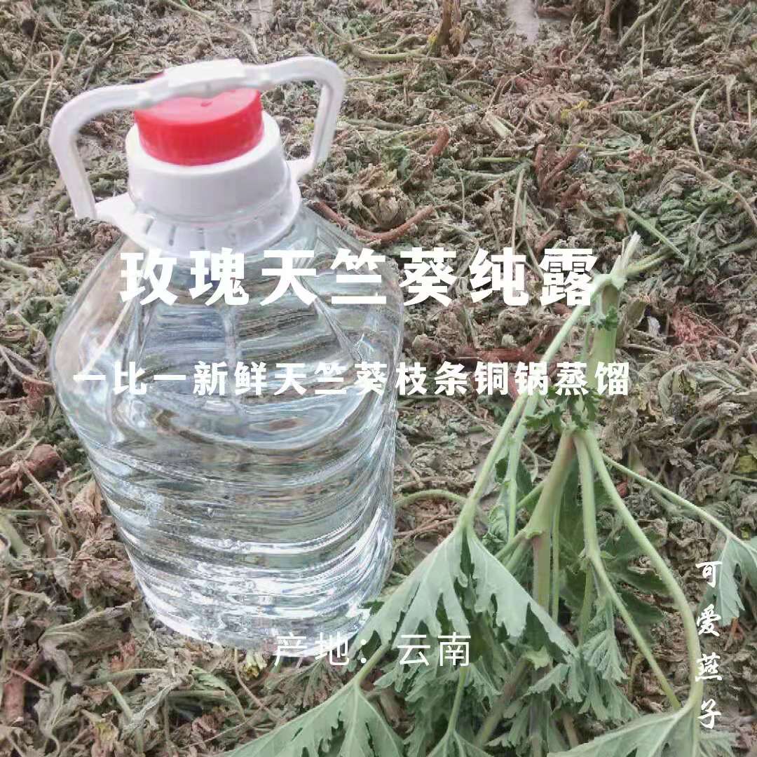 Fresh geranium pure dew 5 catties RMB50  to one not to mention essential oil stainless steel pan making