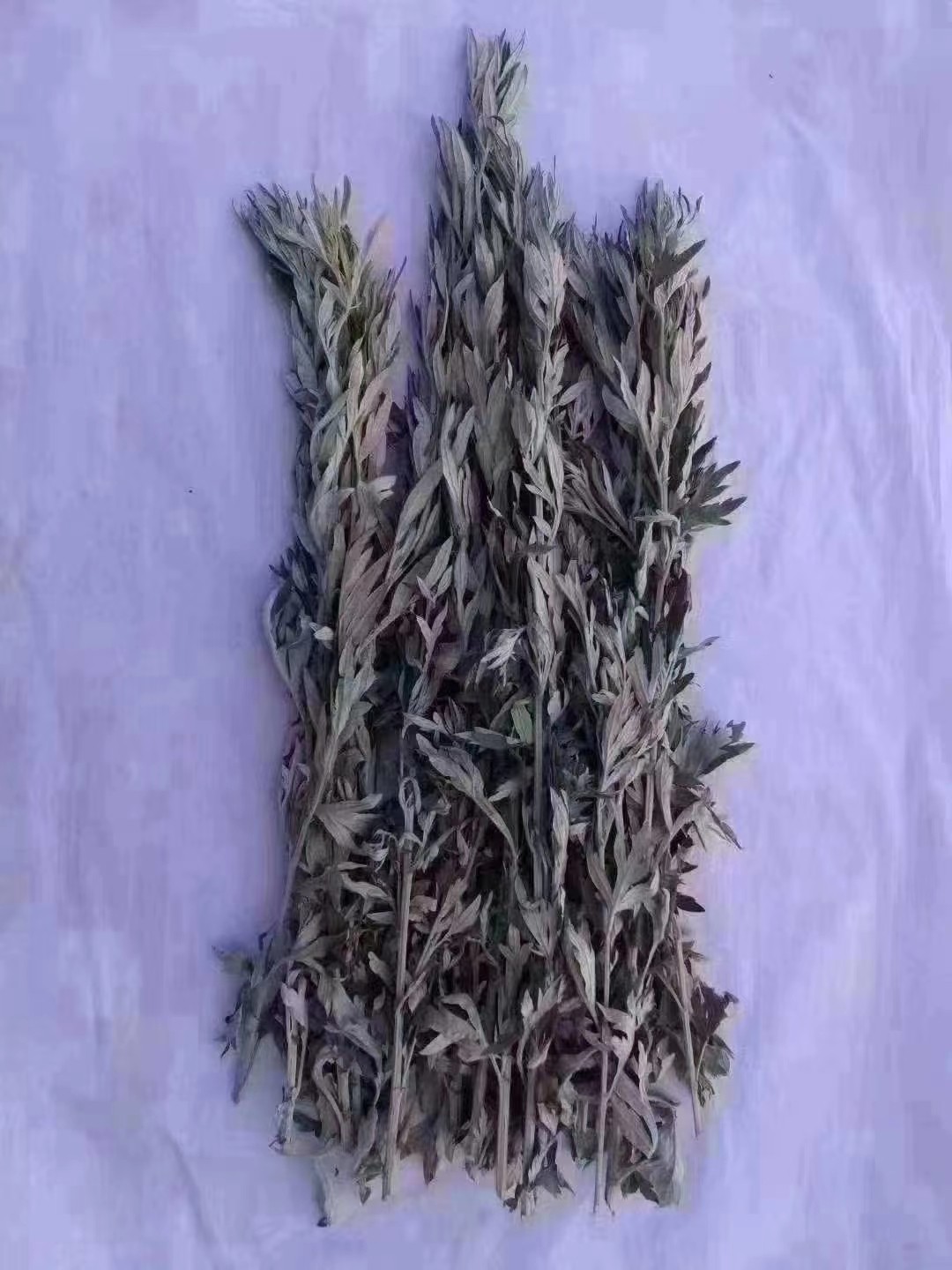 Fresh wild Mountain Eaweed fresh moxa grass 3 catties RMB30  out of blue essential oil