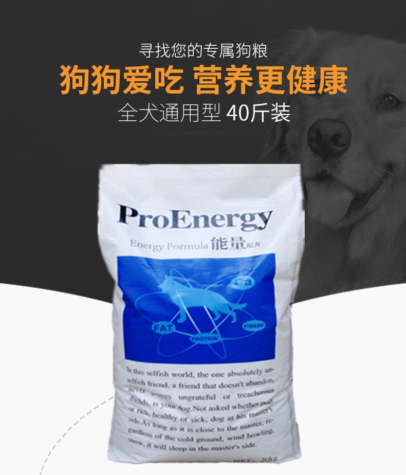 Thức ăn cho chó Samoyed hơn gấu bạc cáo Golden Retriever chó con chó con trong bộ lông trắng lớn đặc biệt 40 kg 20kg đến rách - Chó Staples bán thức ăn cho chó