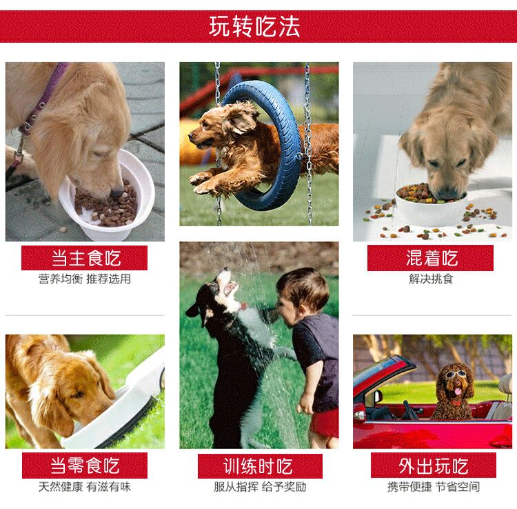 5 kg 2.5Kg số lượng lớn thức ăn cho chó đặc biệt Satsuma Jinmao Xiong Teddy vừa và nhỏ chó con chó con chung thức ăn cho chó royal canin puppy