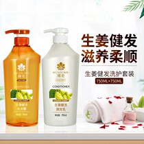 Bee Flower Hair Washing Care Set 750ML * 2 Ginger Shampoo Cream Conditioner for Men and Women Shampoo