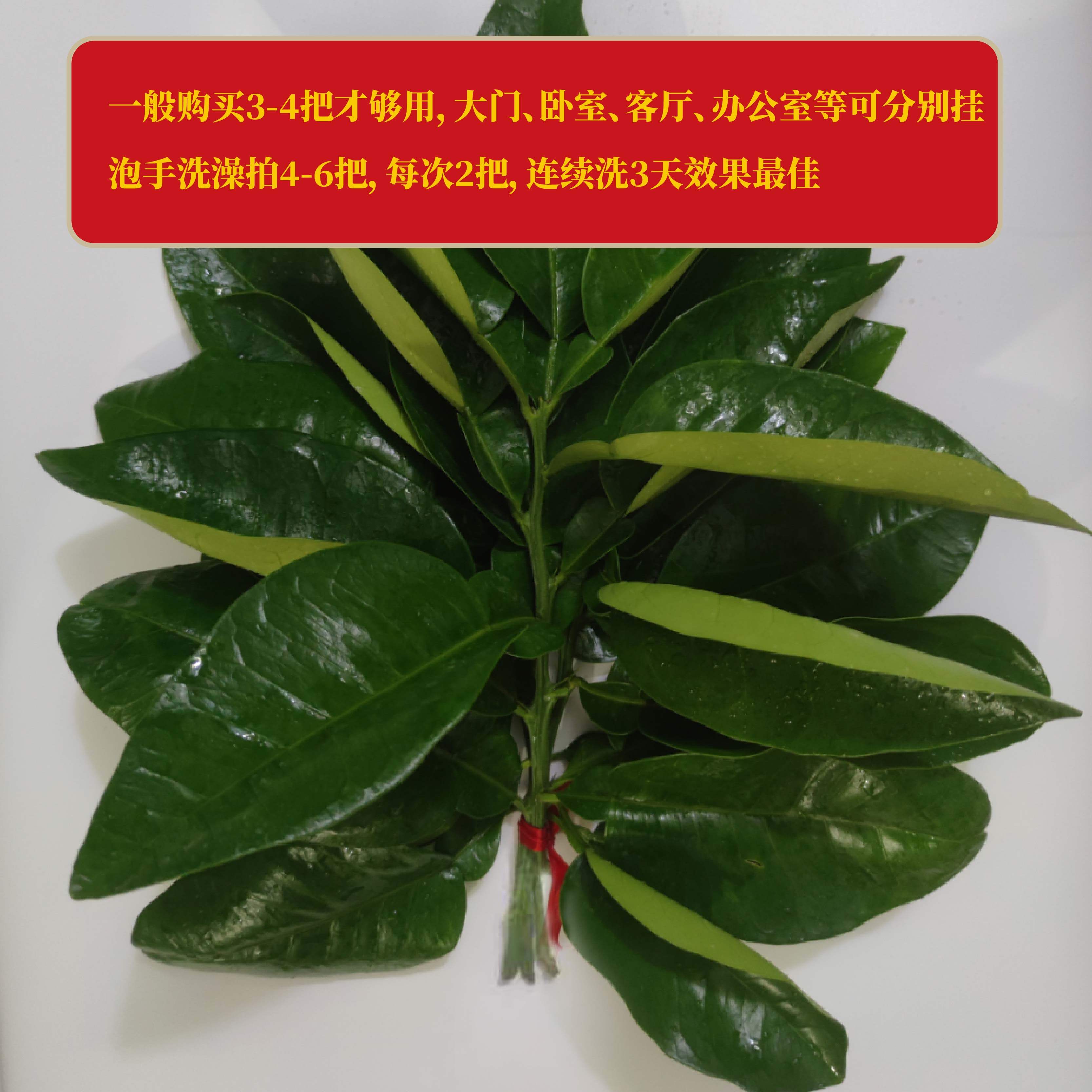 新鲜柚子叶真的能去晦气吗?深度揭秘碌柚叶的功效与使用方法🧐--淘宝好物网