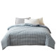 Class a Xinjiang Cotton Quilt, Suitable for All Seasons, Single-Person, All-Cotton Air-Conditioning Quilt Core, Pure Cotton Winter Quilt, Thickened for Warmth, Suitable for Spring and Autumn
