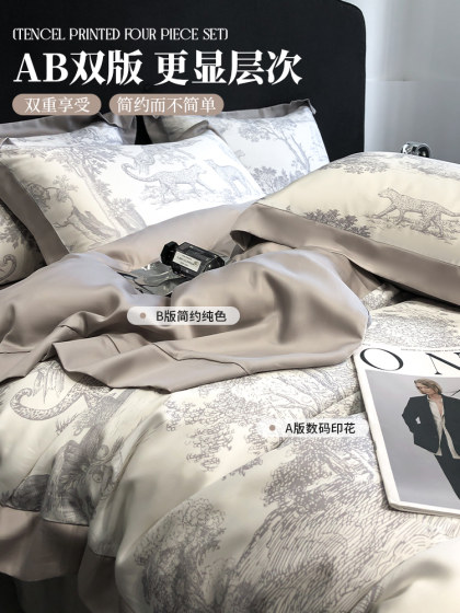 Light Luxury High-End Lyocell Tencel Four-Piece Bedding Set 2026 New Ice Silk Bedding Washable Silk Duvet Cover Bed Sheet