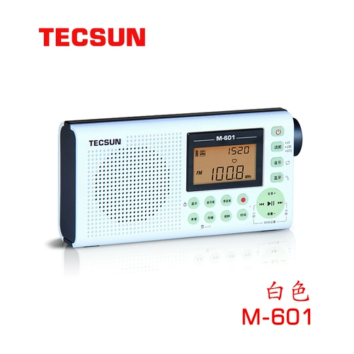TECSUN/DESHENG M-601 FM CARD RADIO RADIO RADIO RADIOR