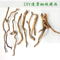 Natural fish tank landscaping tree roots and branches micro landscape forest fibrous roots aquarium South American tank mini branches decorative sunken wood