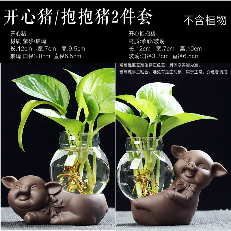 水培绿萝神器！透明玻璃花瓶太香了，养出绿植界的“小仙女”✨