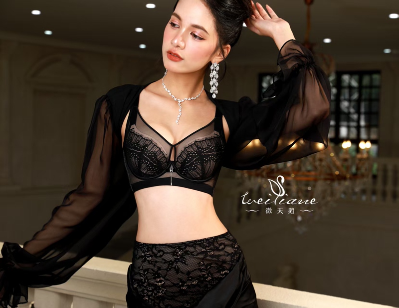 Micro Swan 8625 Soft-Cup Underwear for Women, Ultra-Thin Cup, Push-Up, Side Breast Adjustment Bra, Crystal Cup, Two Pieces, 380
