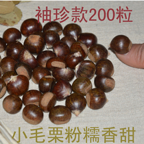 2021 Shaanxi fresh shelled wild chestnut CHESTNUT Chestnut oil chestnut instant snack non-Qianxi chestnut 5kg